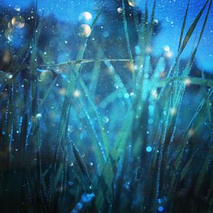 小明小明我要看A片现场直播
