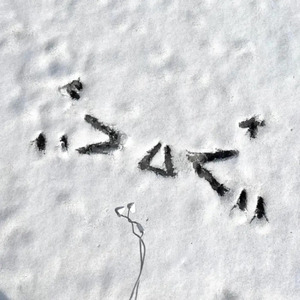 小明小明我要看A片现场直播
