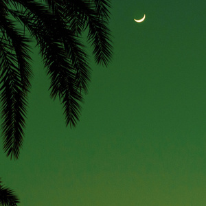 小明小明我要看A片现场直播
